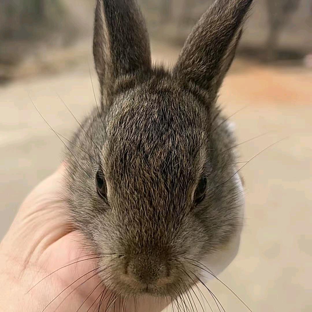 禹王路联通营业厅