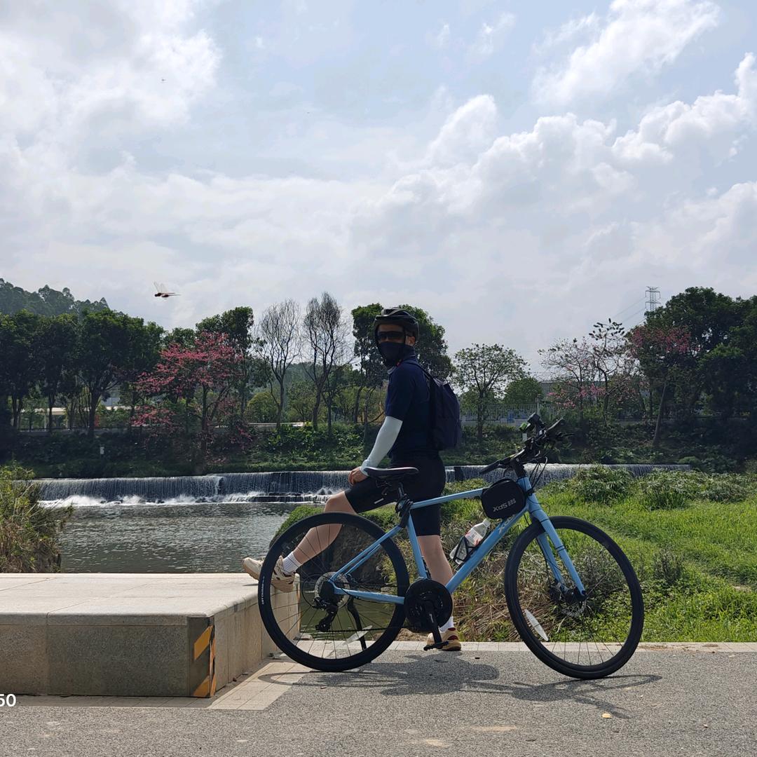 双轮驱动小菜腿