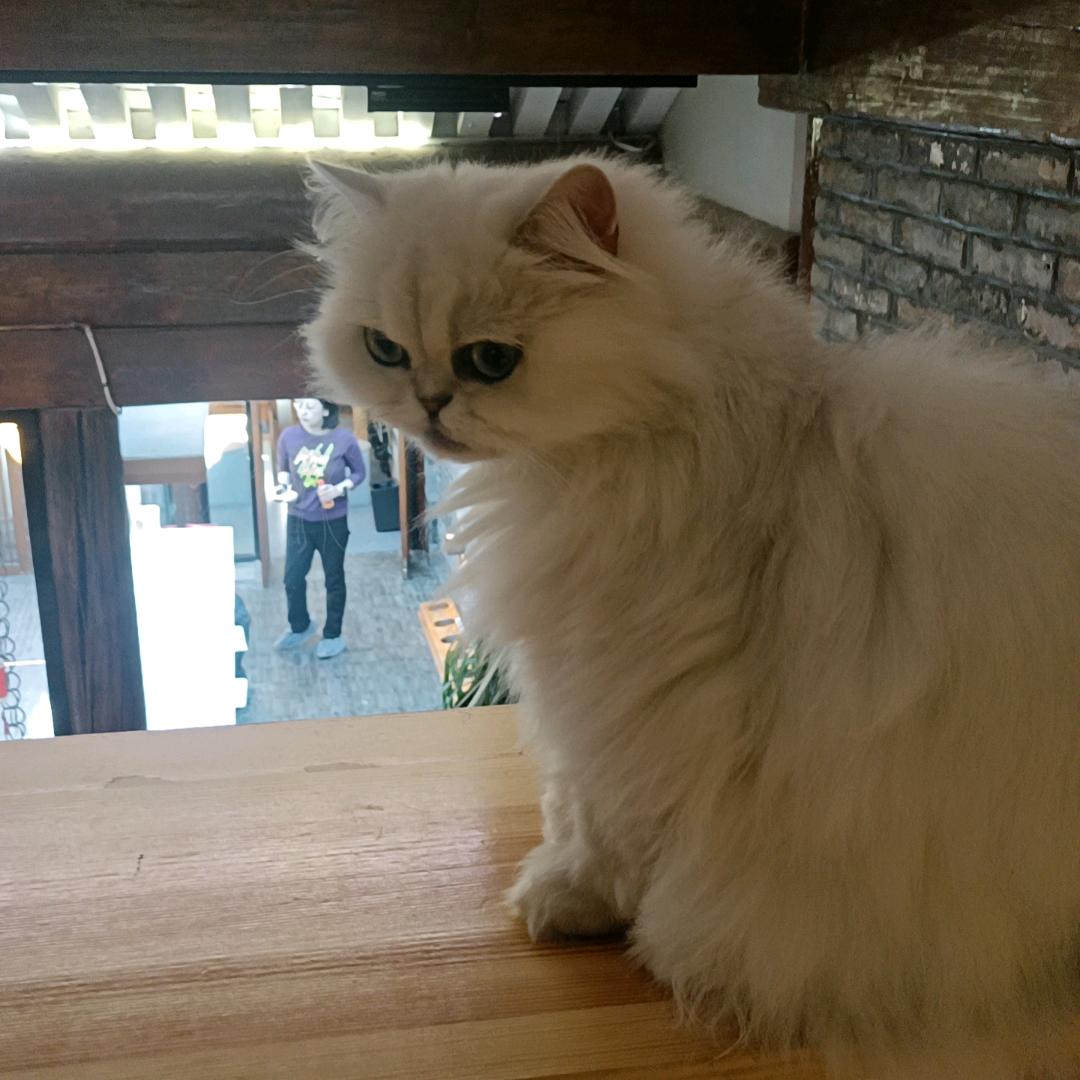 我是谁的谁？心以寒冰木