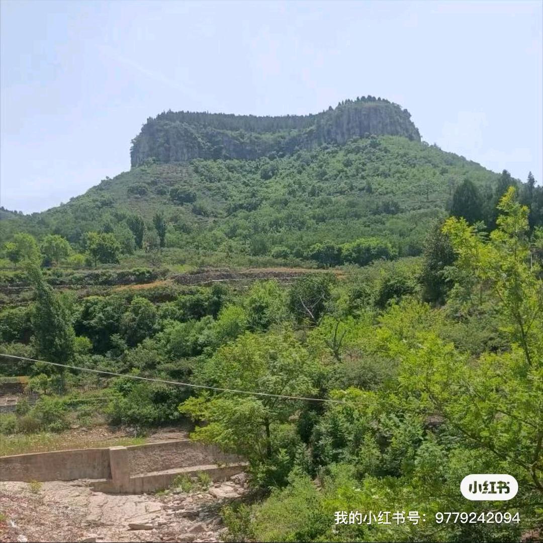 一鸣生基6