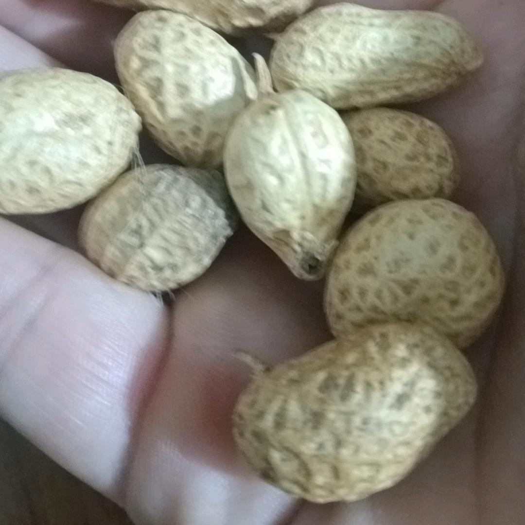 丙灿