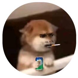 蛋蛋不是蛋
