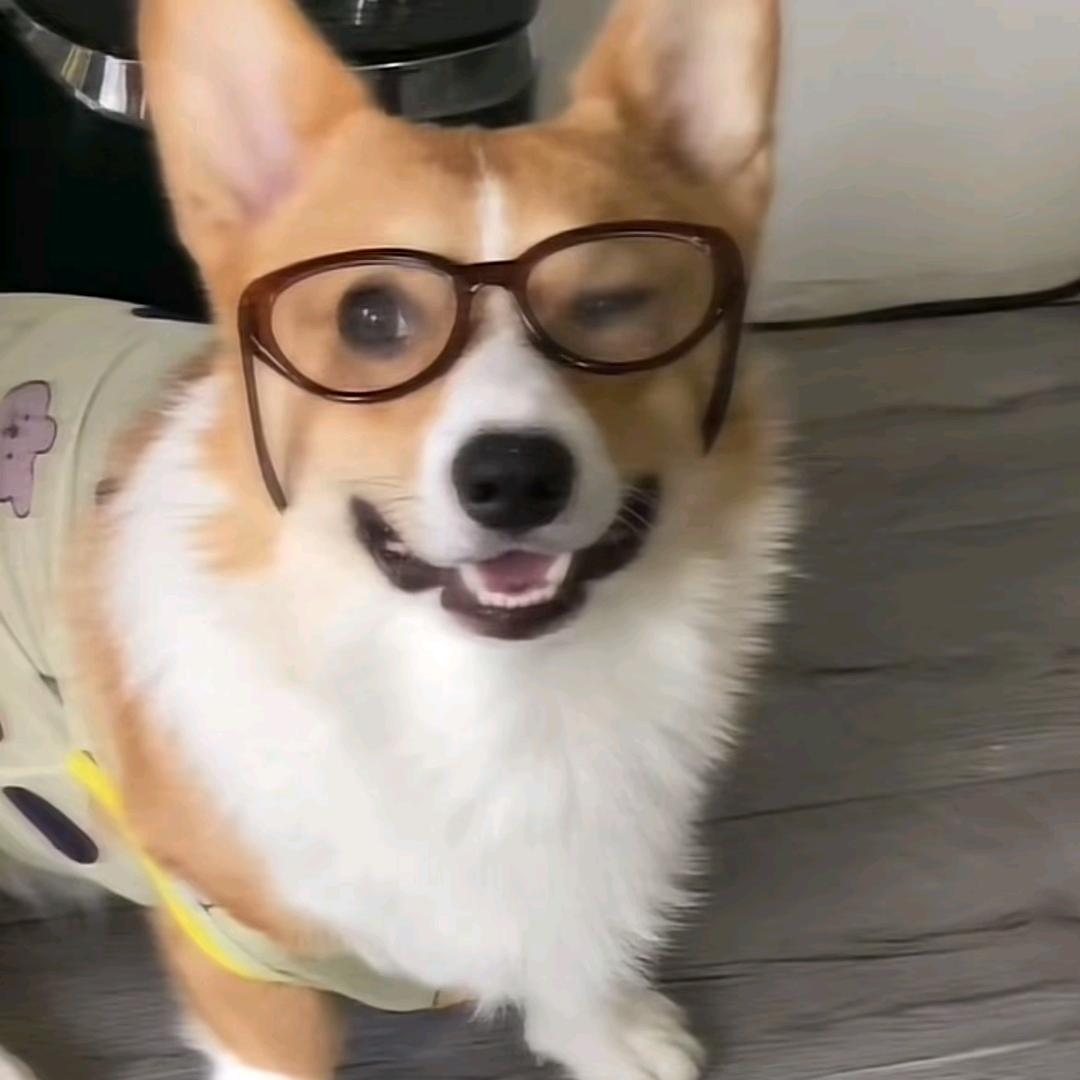 禁止奖励