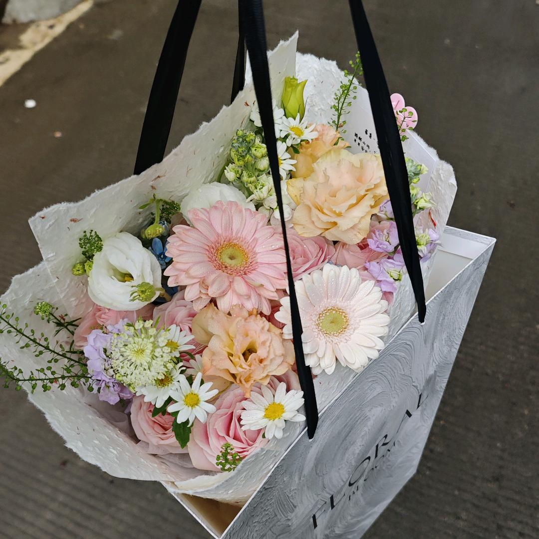 西红柿🍅的朋友