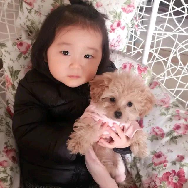 瑶瑶爱学习🐱