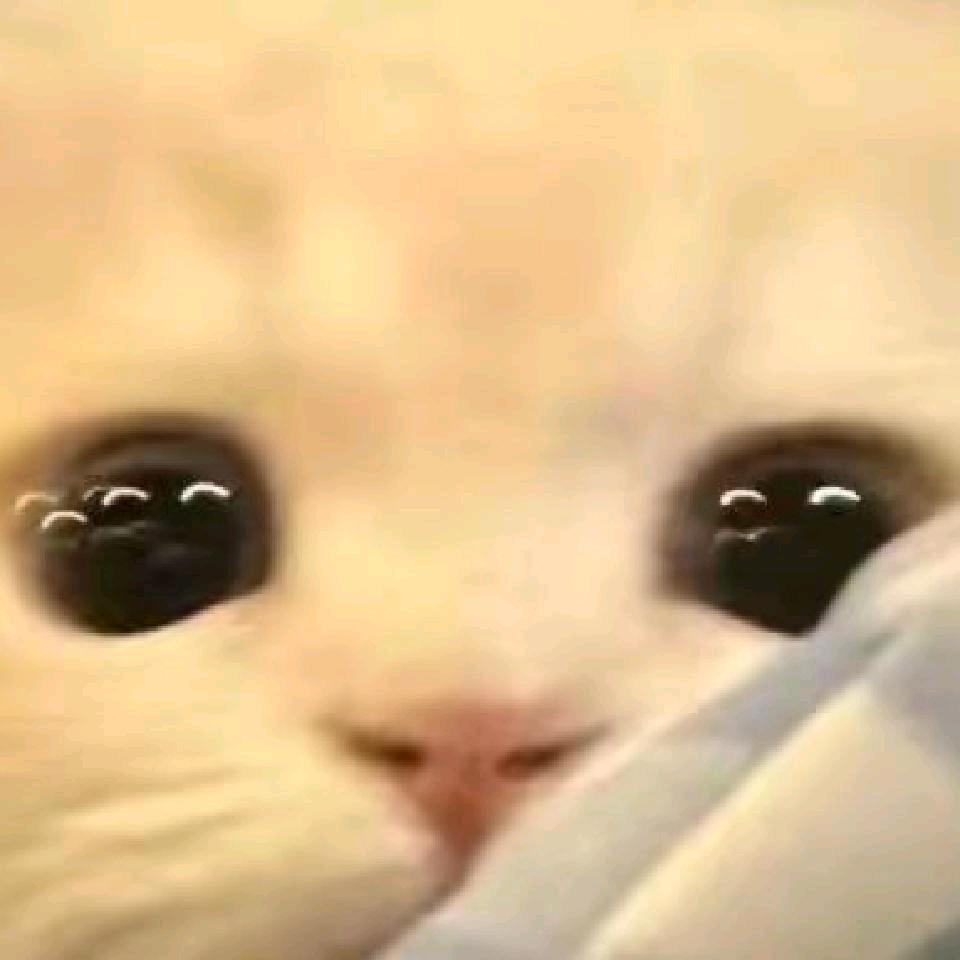 小卮