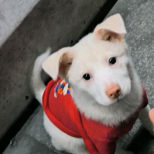 地球表面壹方店运营小雷