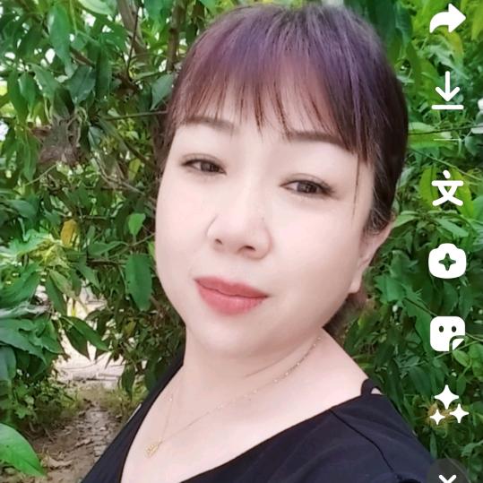 单身萍儿