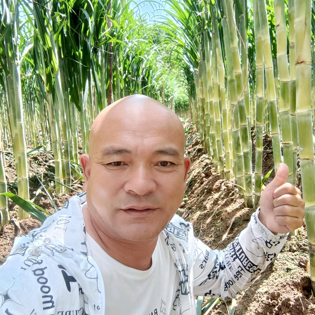 大山里的欧巴，杰哥