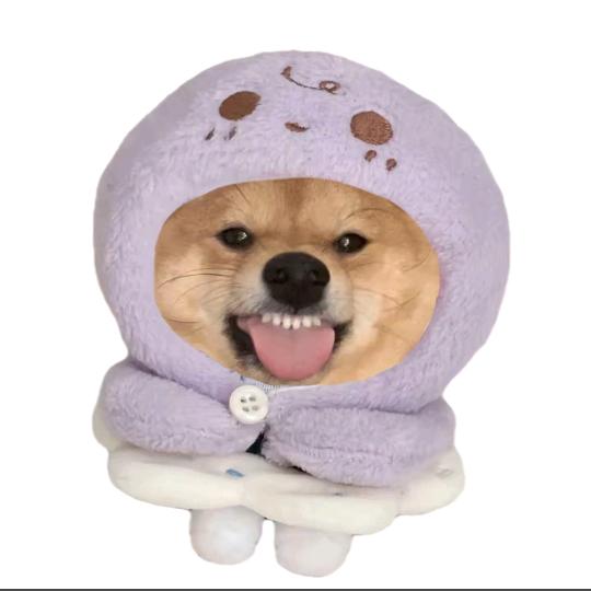 山顶的喵