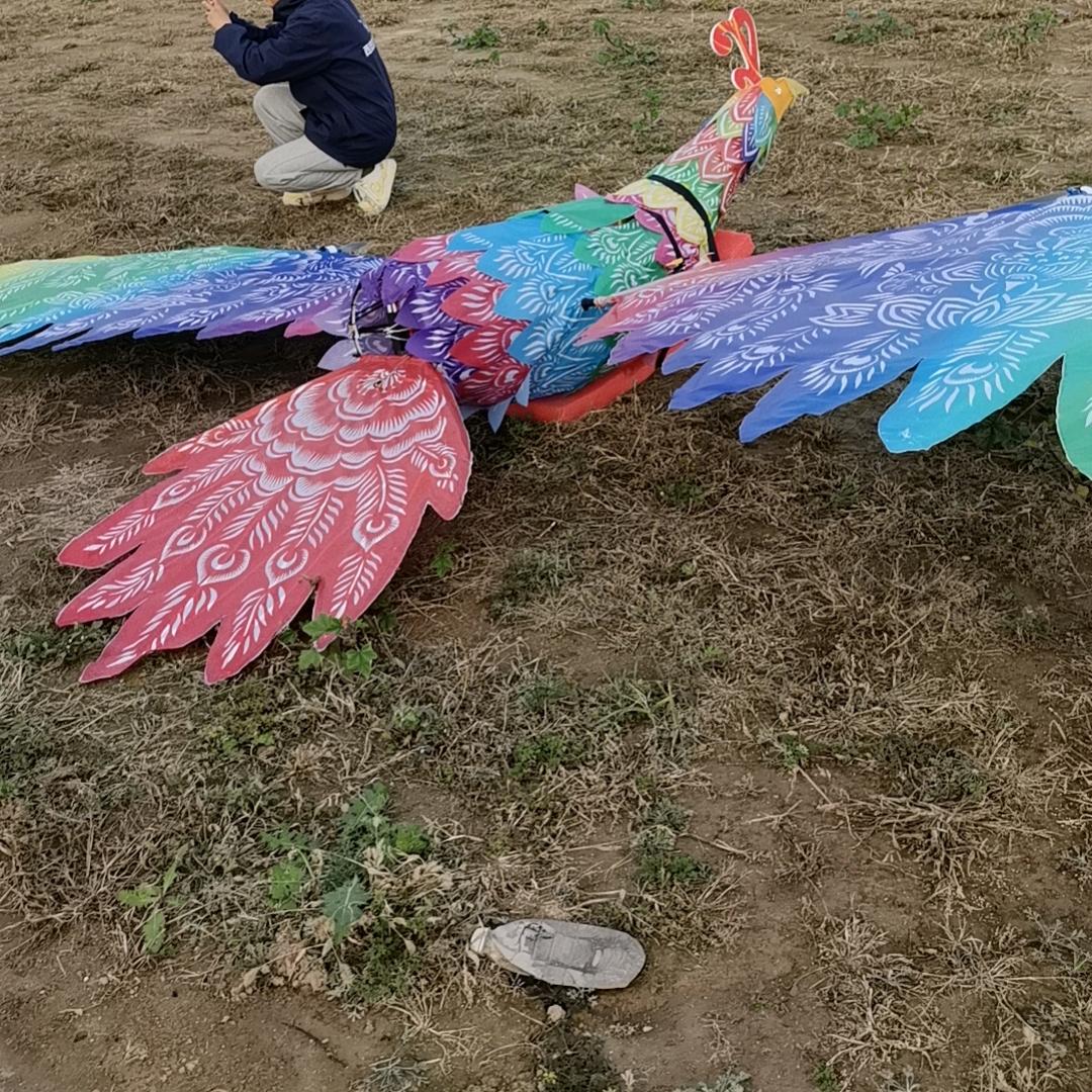 壹铭飞天屏飞天龙凤