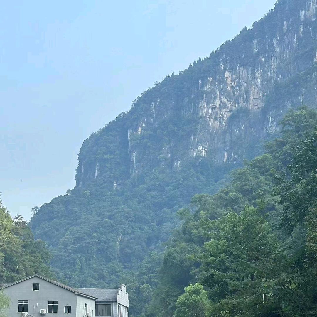 天天富佑贵鹿