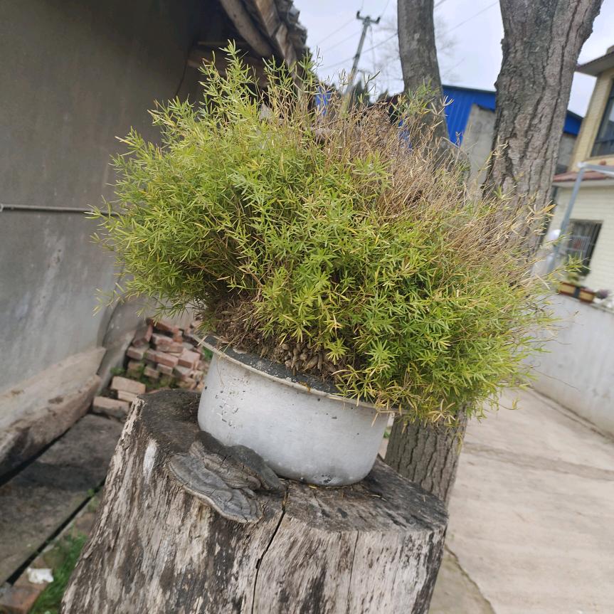 🐴开心活好每一天