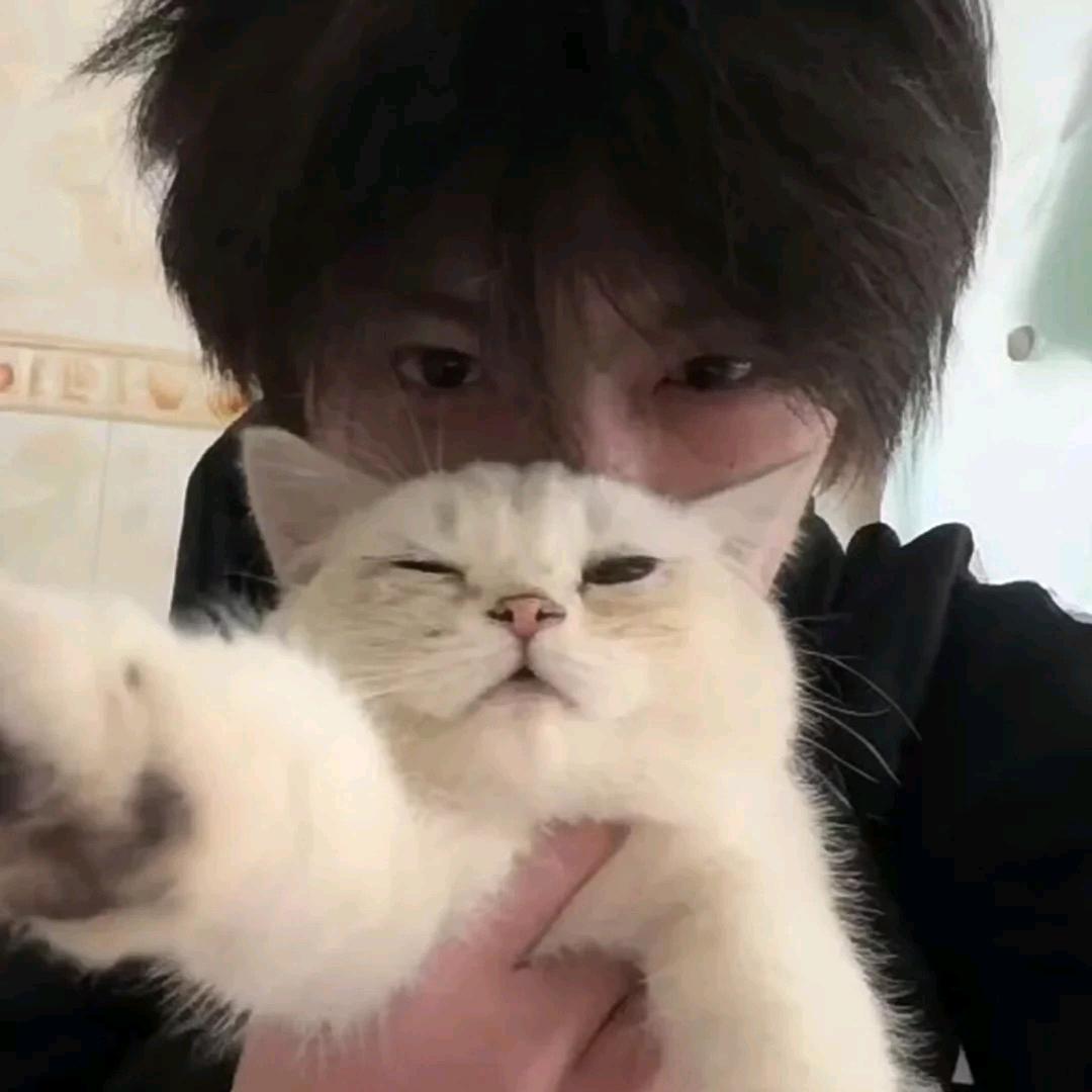 曜皆江辰雪（IAG两场）