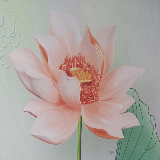 明天会更好😃😃😃