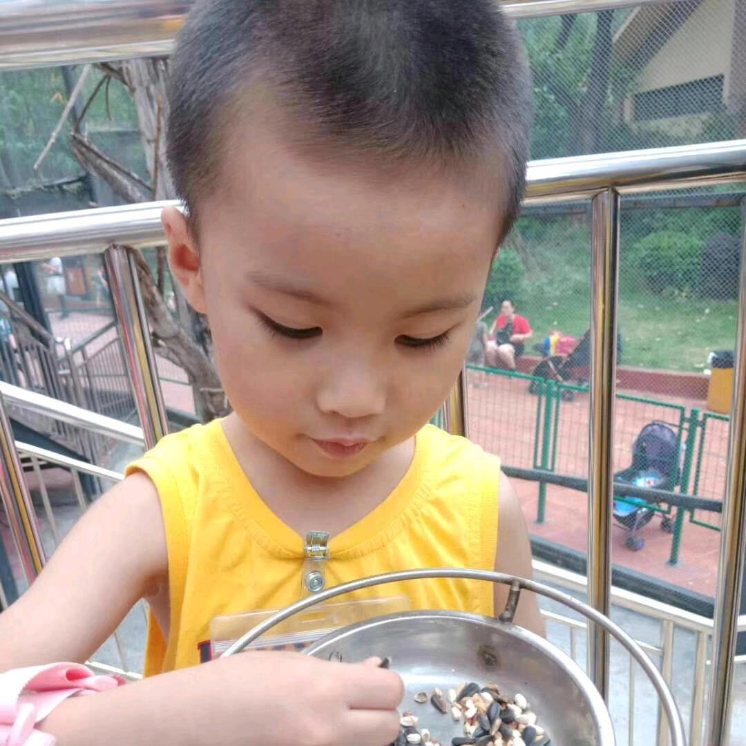 🌈🐛毛毛虫🐛