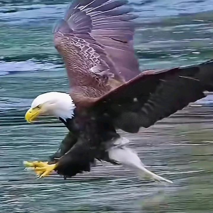 春暖花开