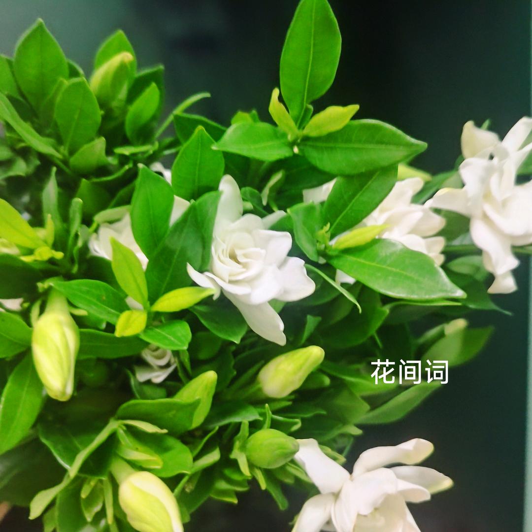 小易✨
