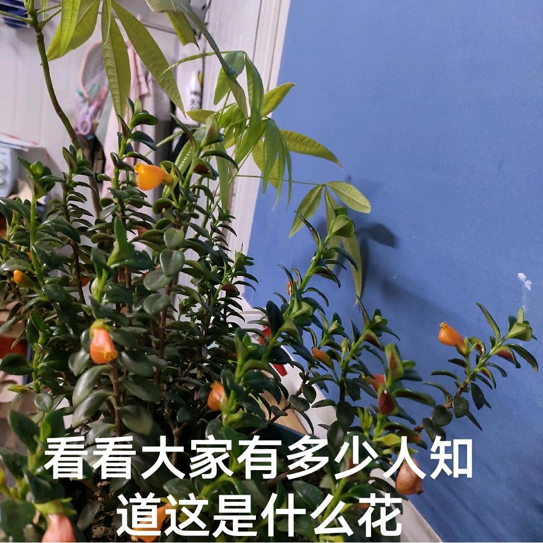 沈杨