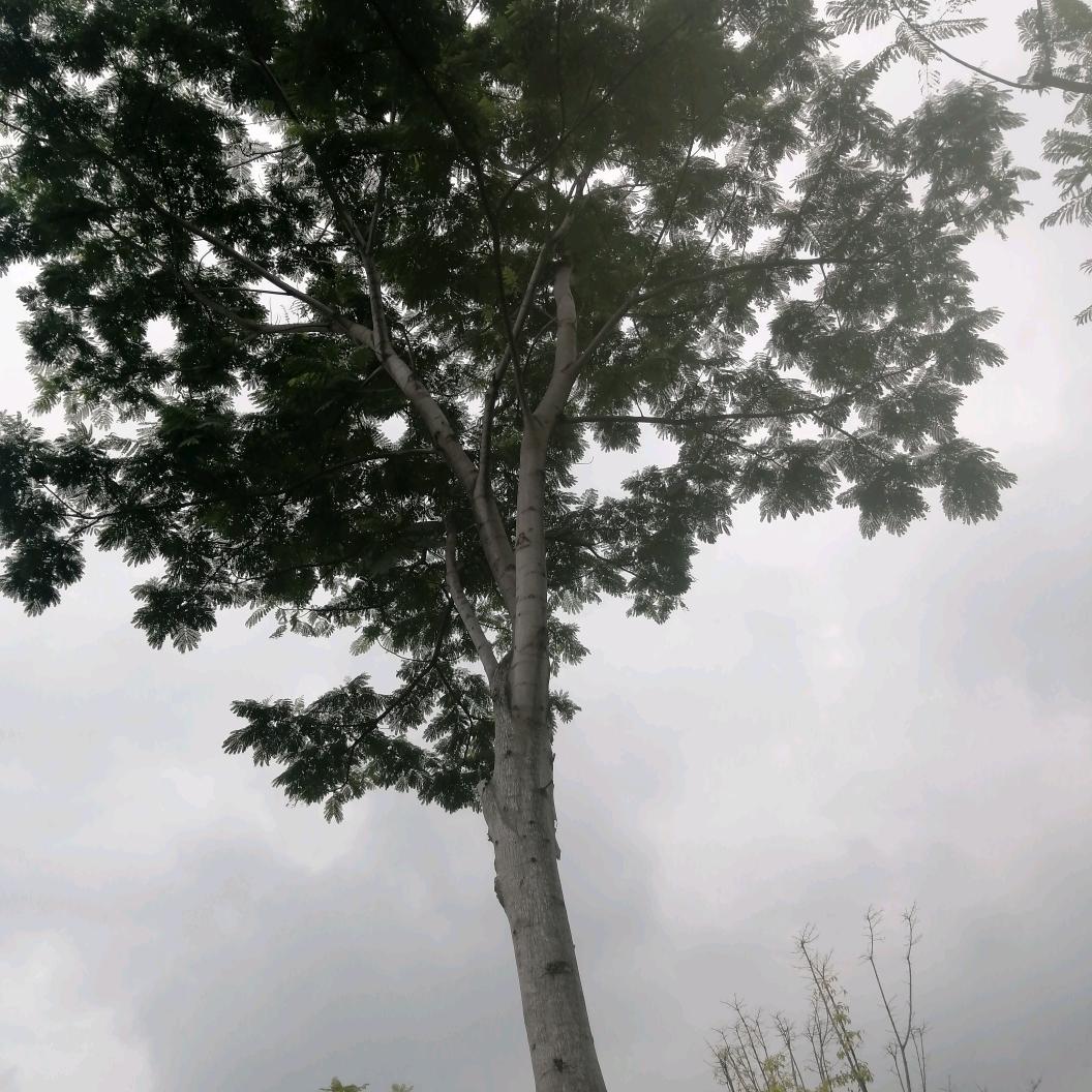 头道邦养发馆（仁和店）罗姐