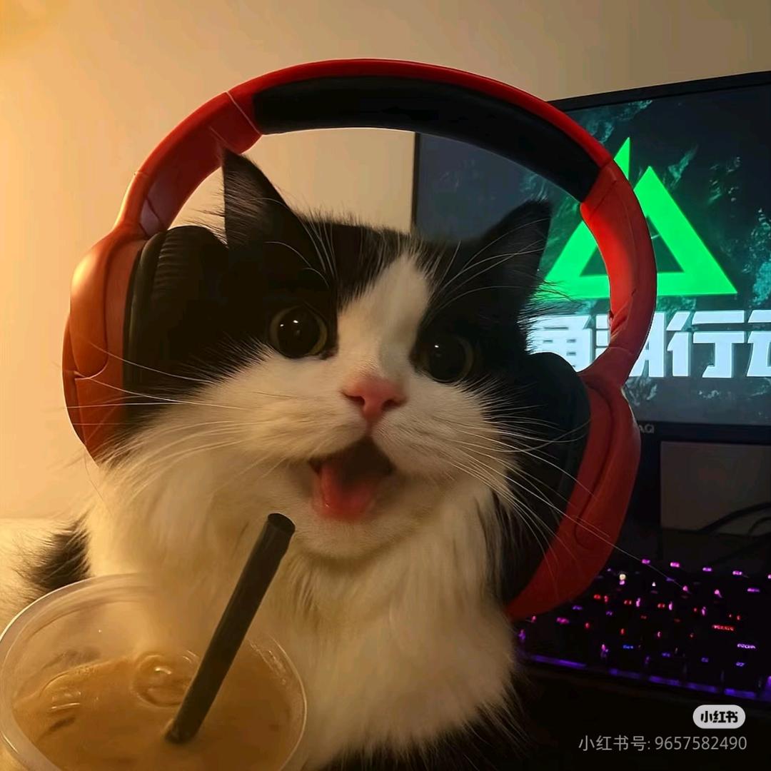 鼠刀仔(三角洲跑刀)