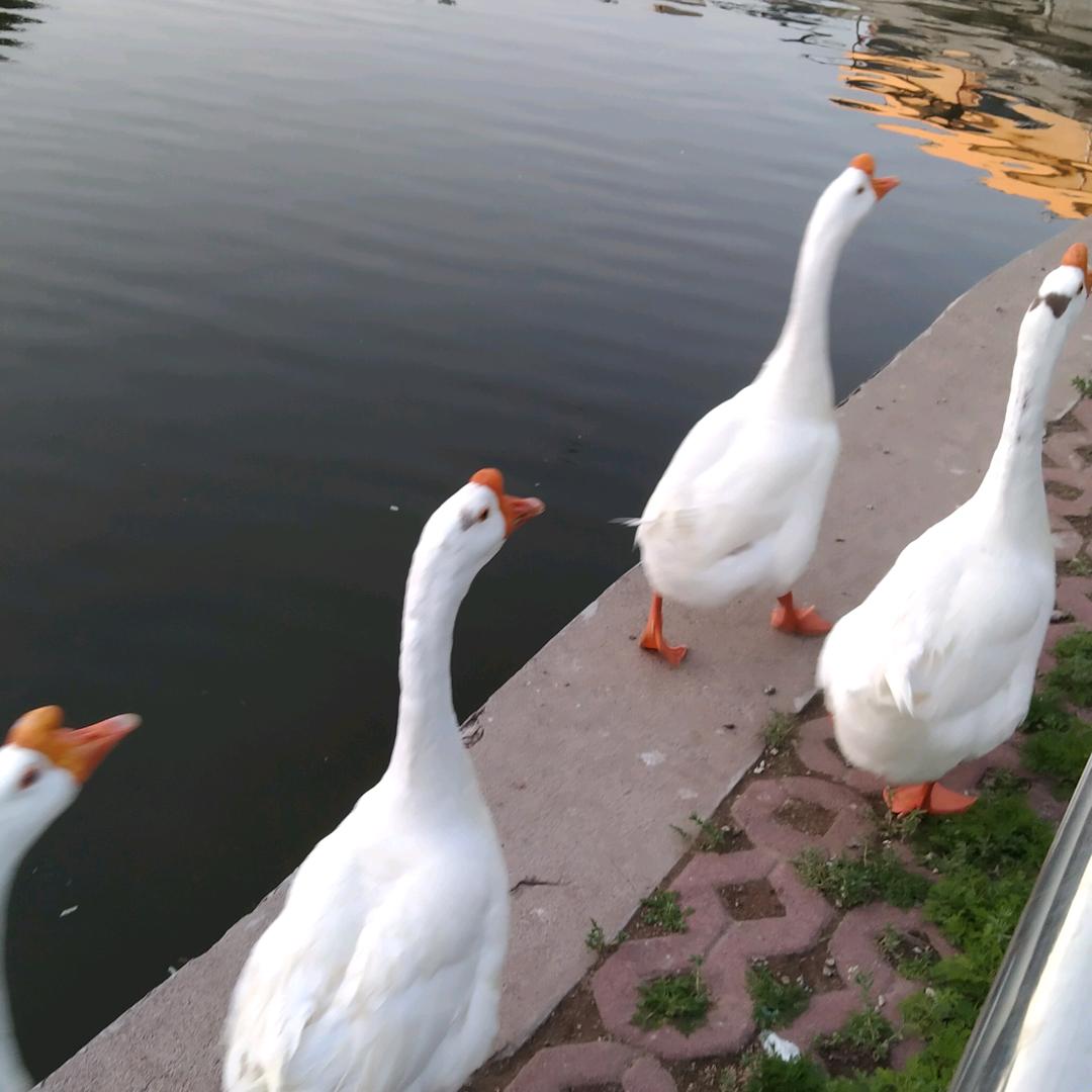 ໑ຼₒ₂4无李取闹💞