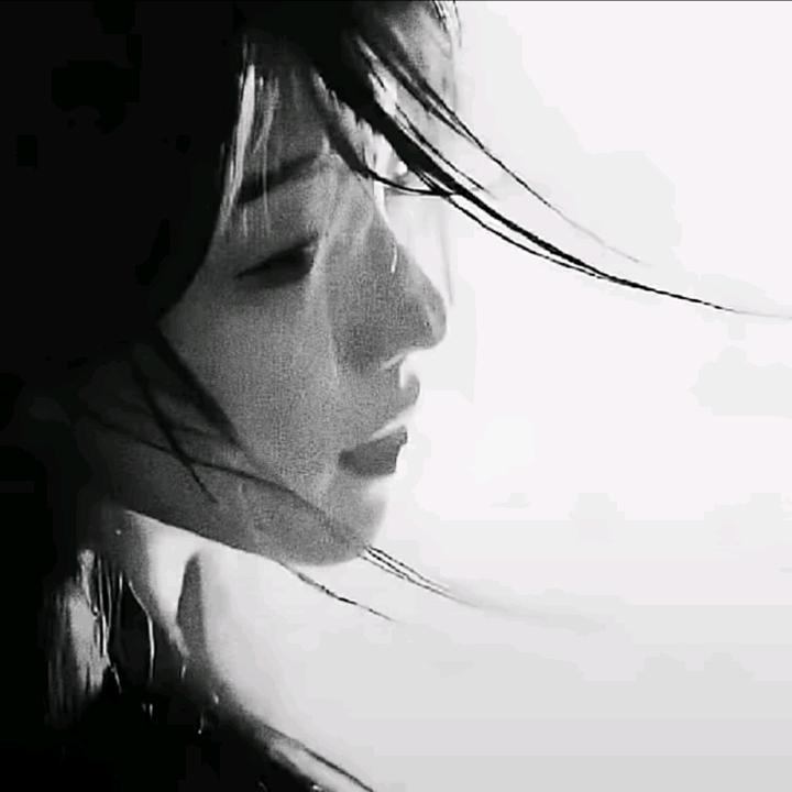 宝宝巴士