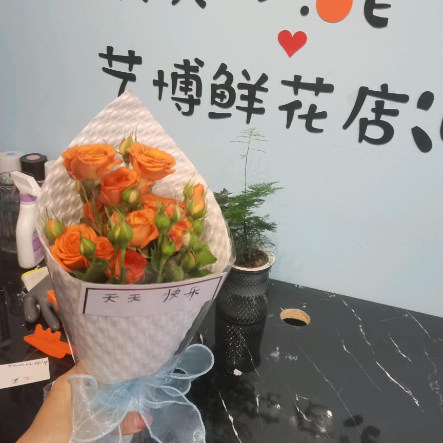 小艺宝