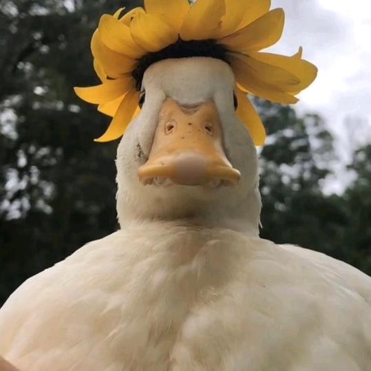 小李喂!