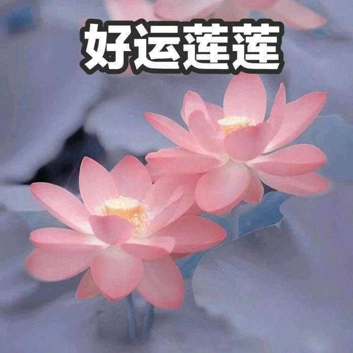 心平气和🌞头像