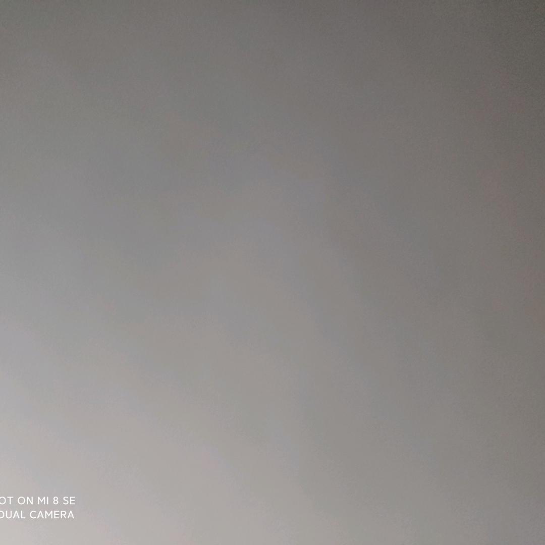 露露公主