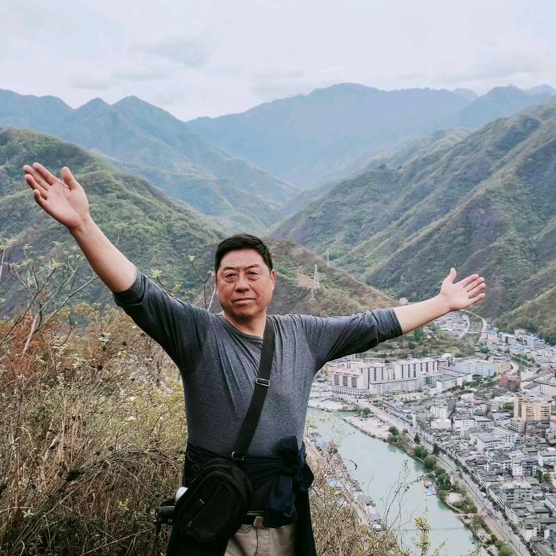 陇南游子