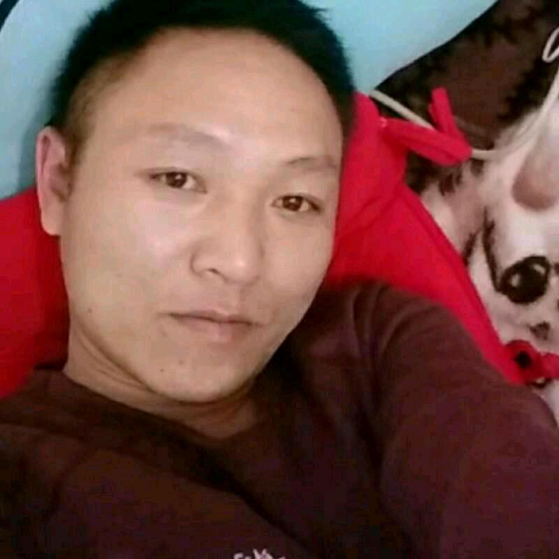 日古子卵谈扯犊子