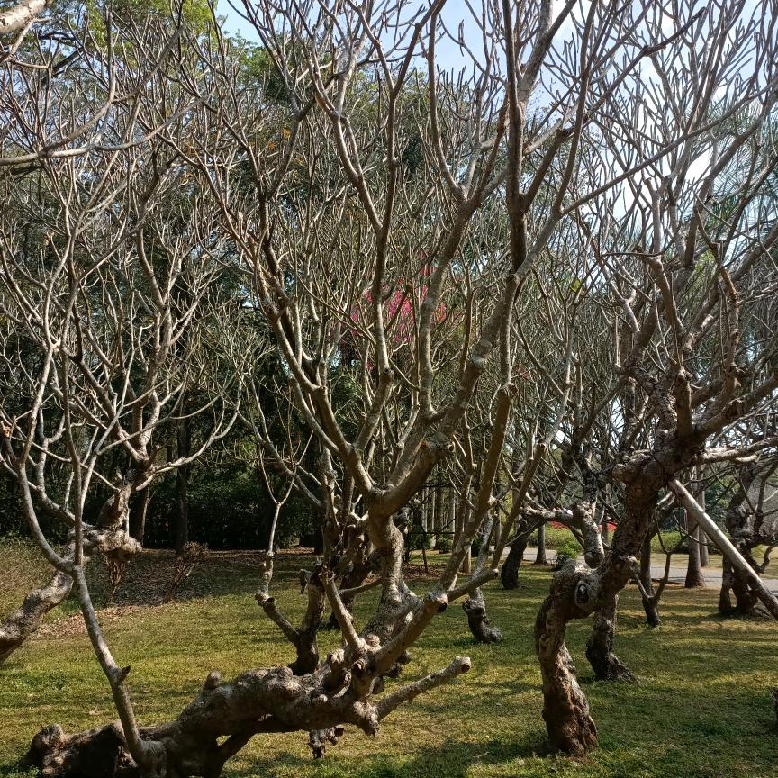张波