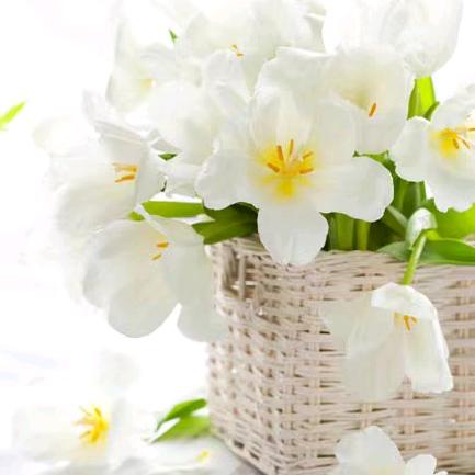 古风轻舞云烟起，意境如诗醉人心。