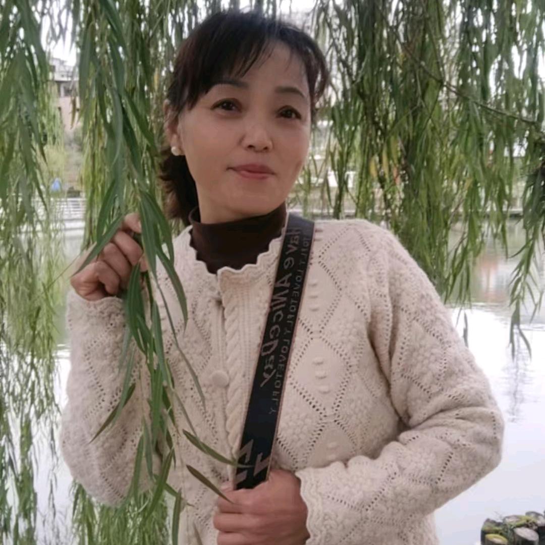 秀（75的兔子）