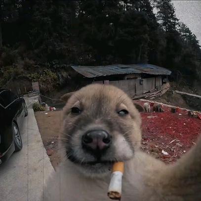 呢喃