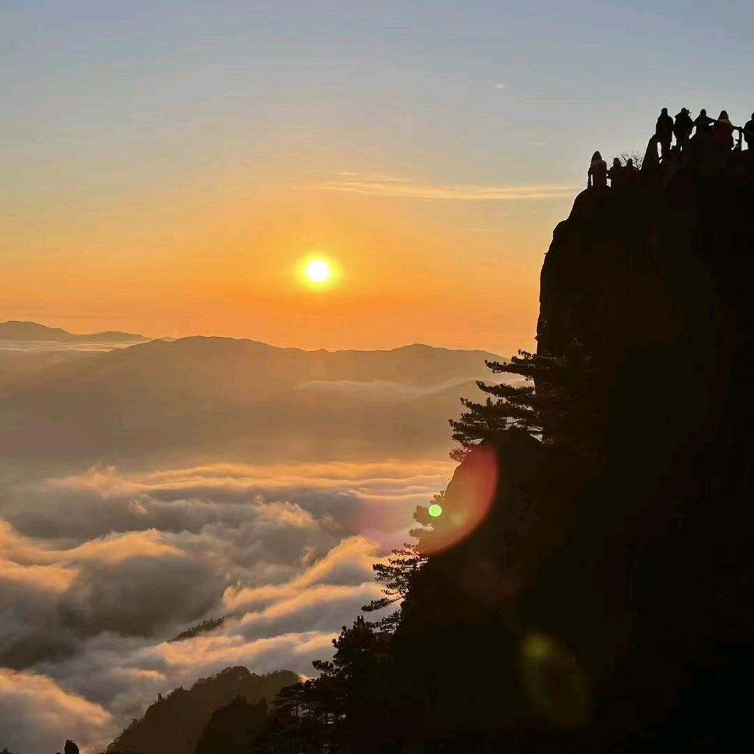 小海豹