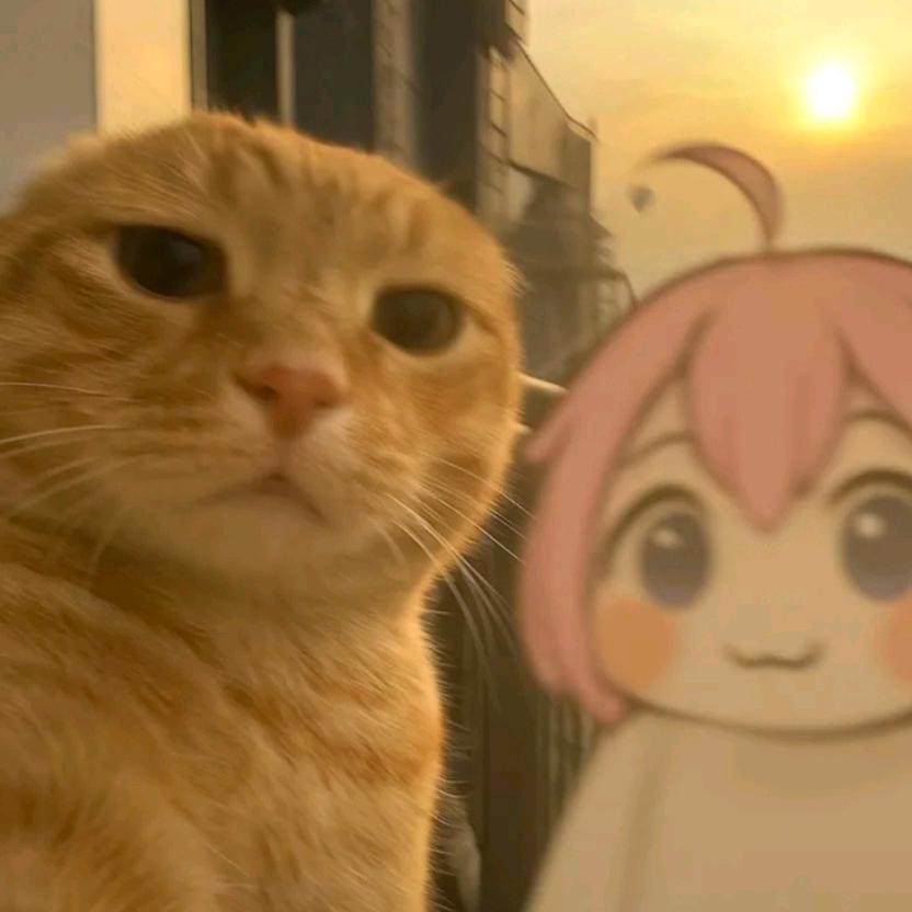 懒大大