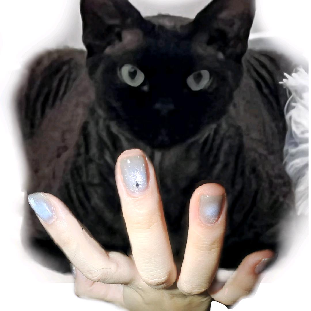 早晨的星星很蓝