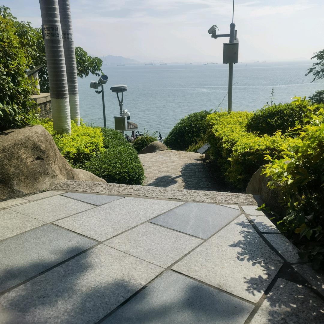 粤来粤好听