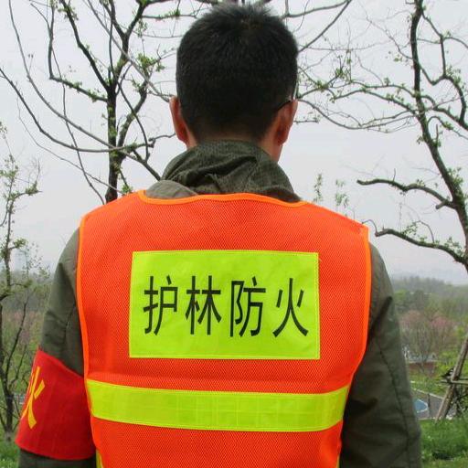 彬州网红