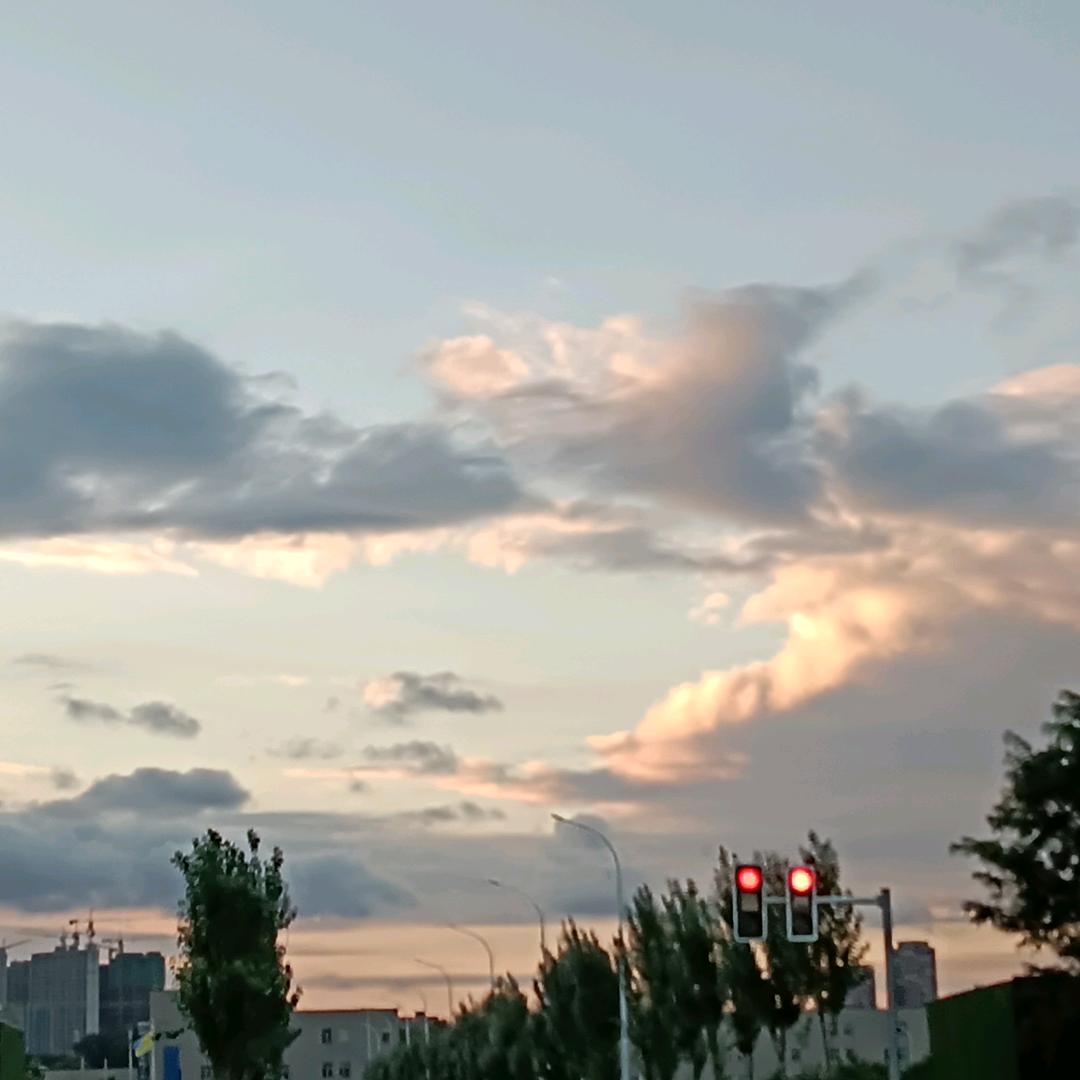 无花果