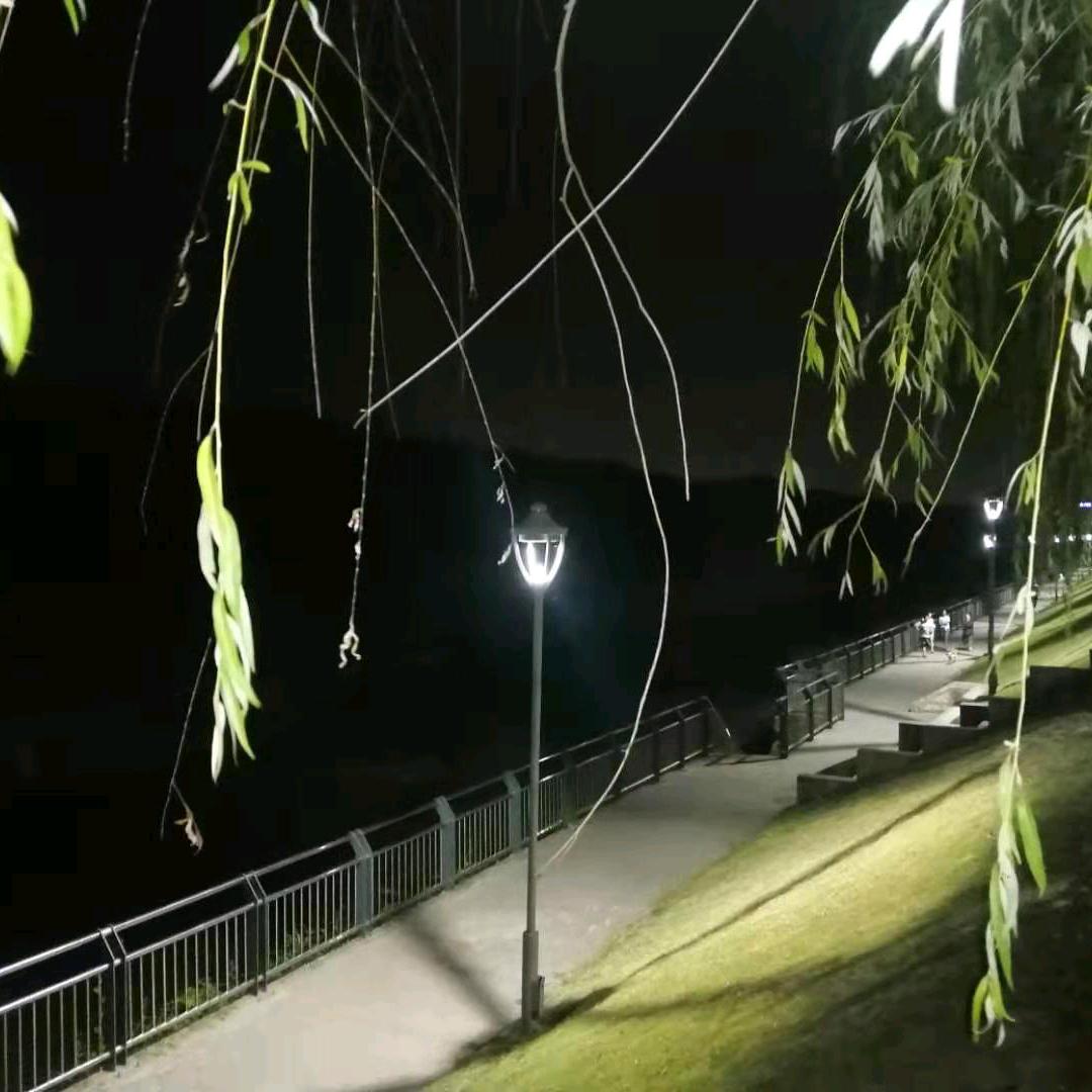 江辞