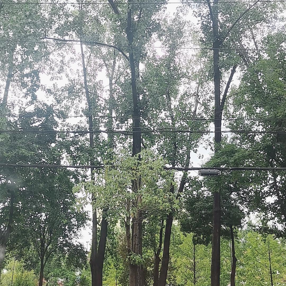 诗诗手串
