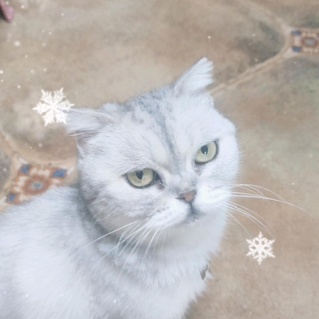 ☀️一米阳光☀️