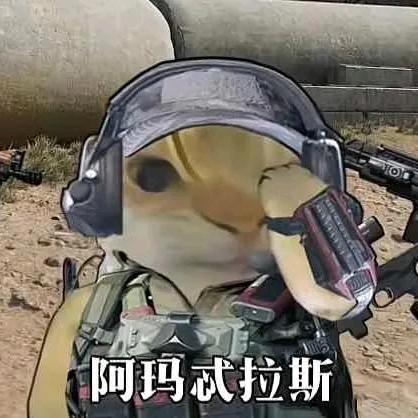 游戏菌