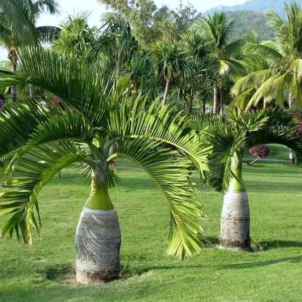 疏附县格雅教育