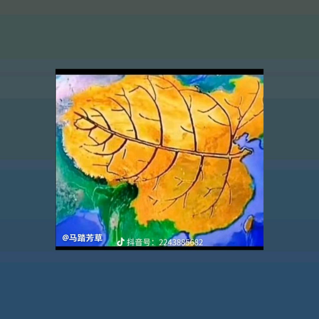 天涯浪子