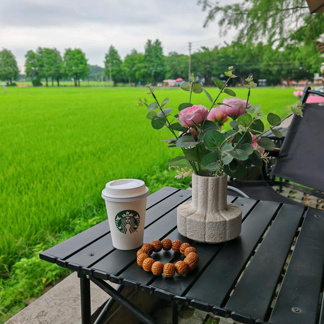 生活小王炸
